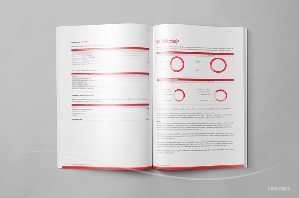 ZSE Annual Report 2016 - Graphic design, layout, DTP